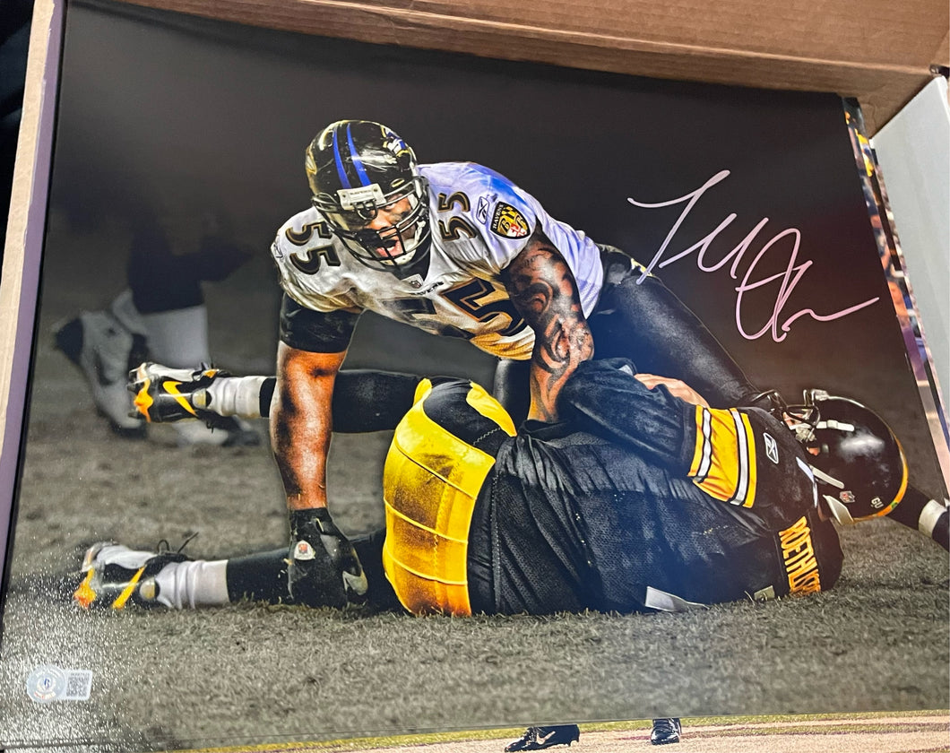 Terrell Suggs Signed 16x20 Photo