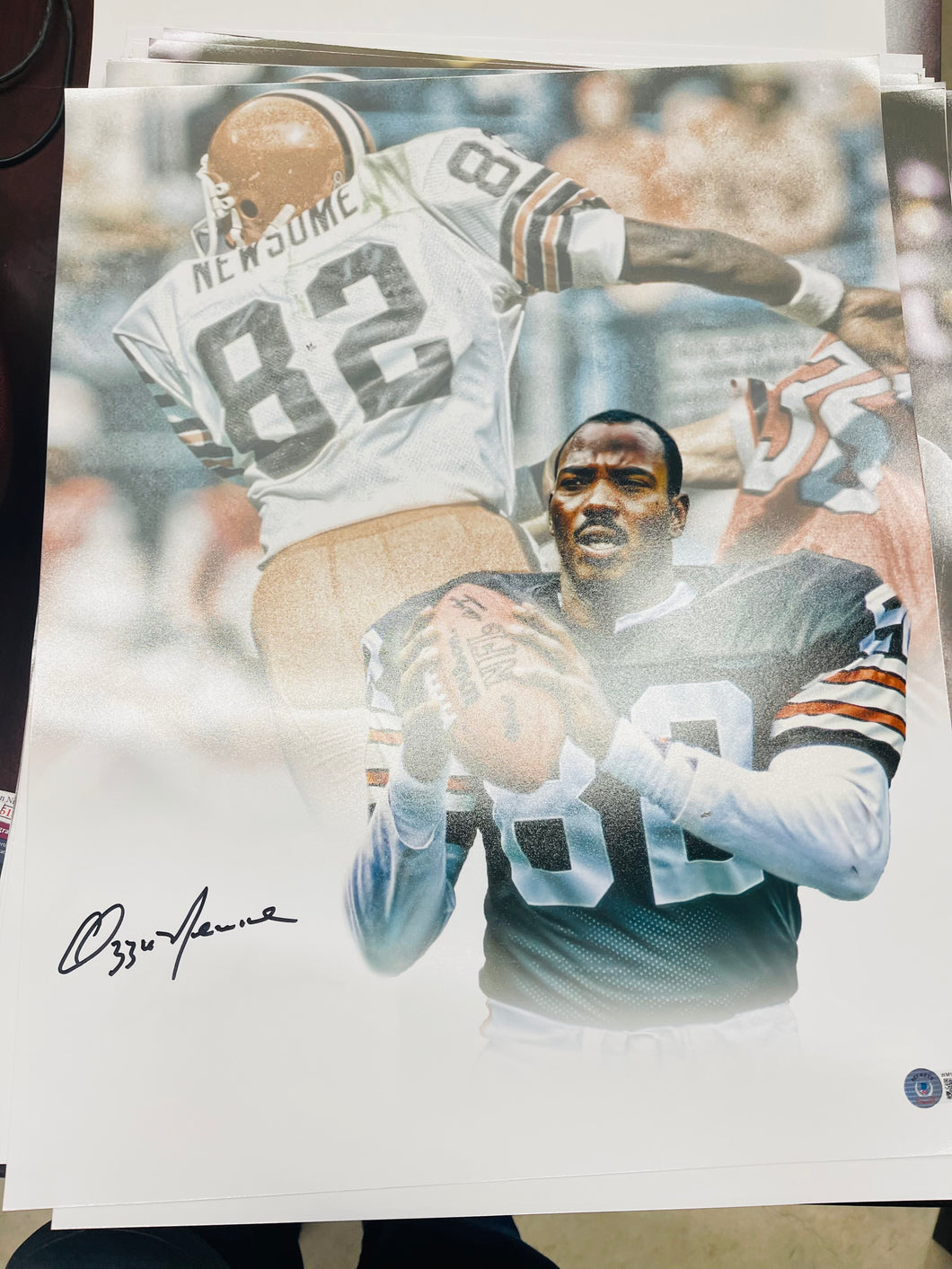 Ozzie Newsome 16x20 photo